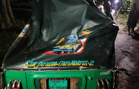 রাঙামাটির সড়কে অটোরিকশা খেলছে হাতি! 